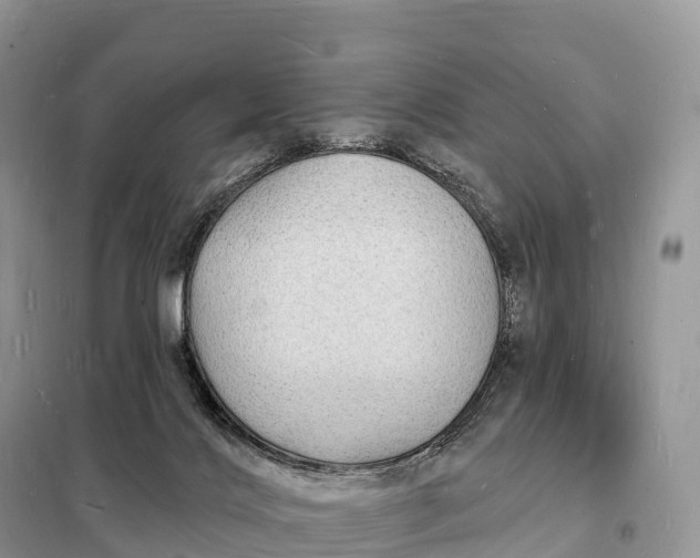 X0000098230028200805081232