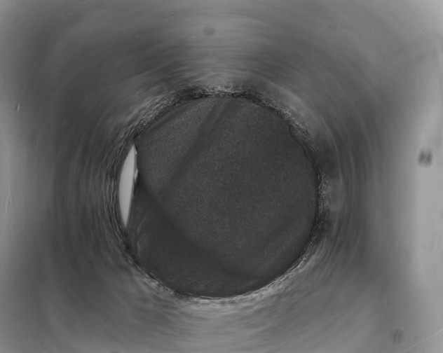 X0000098230029200805081232