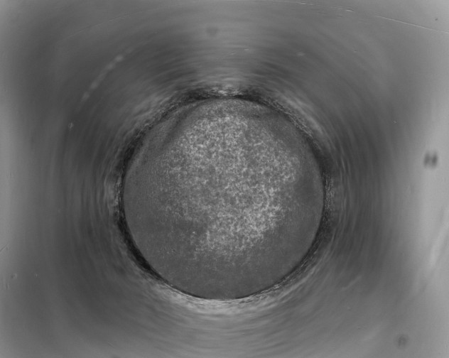 X0000098230030200805081232