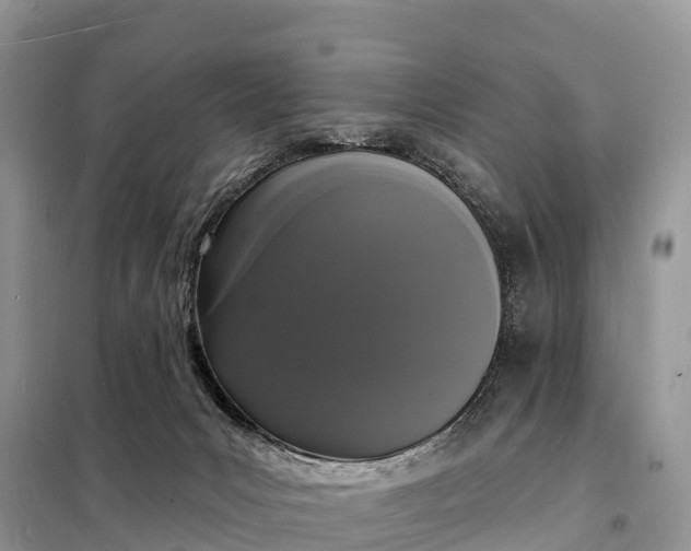 X0000098230031200805081232