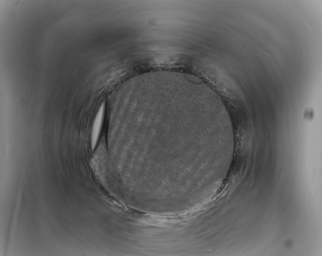 X0000098230033200805081232