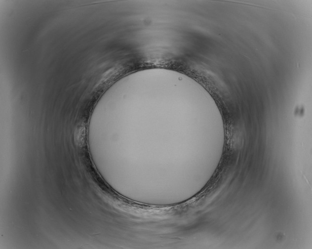 X0000098230036200805081232