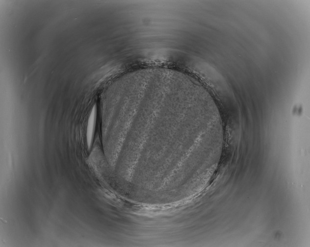 X0000098230037200805081232