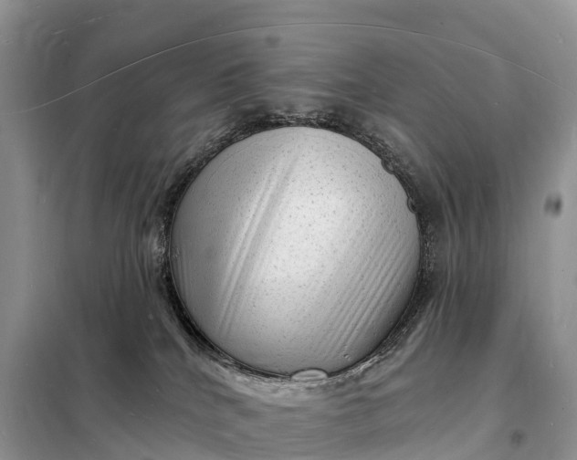 X0000098230040200805081232