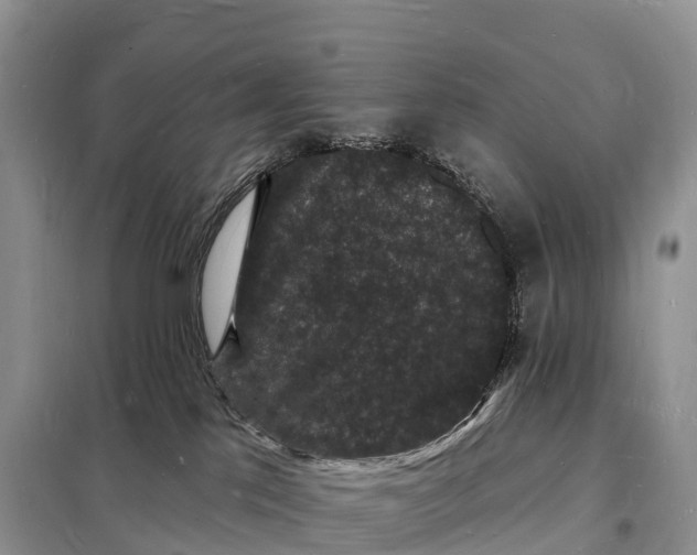 X0000098230041200805081232