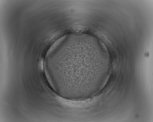 X0000098230042200805081232