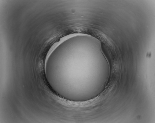 X0000098230043200805081232