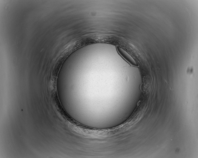 X0000098230044200805081232