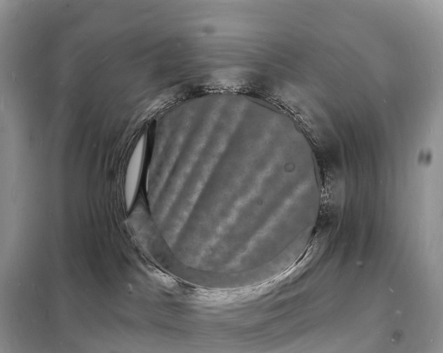 X0000098230045200805081232