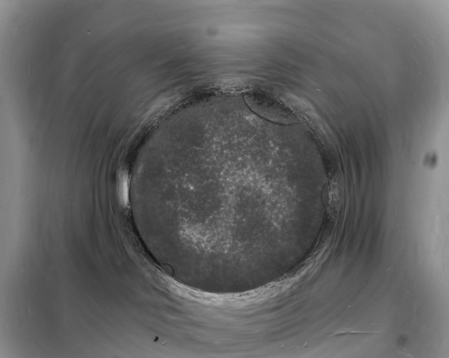 X0000098230046200805081232