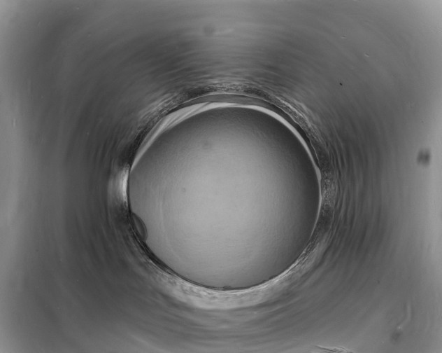 X0000098230047200805081232