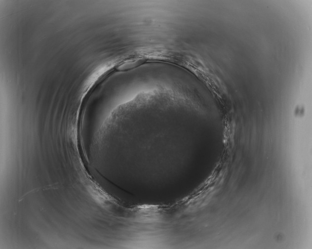 X0000098230052200805081232