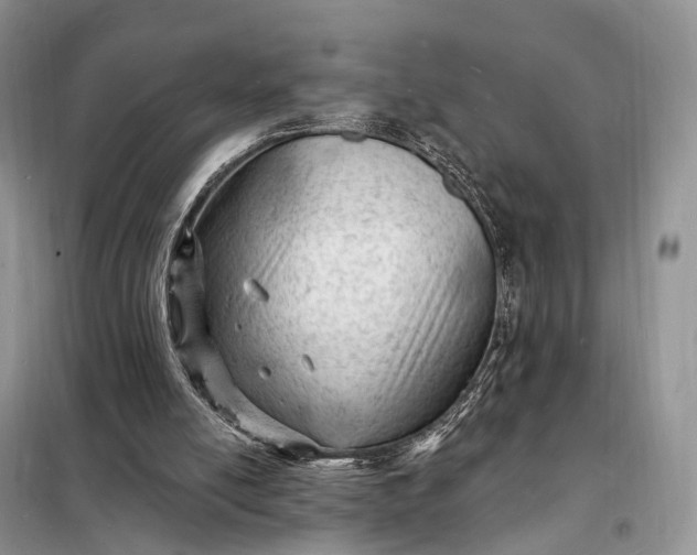 X0000098230054200805081232