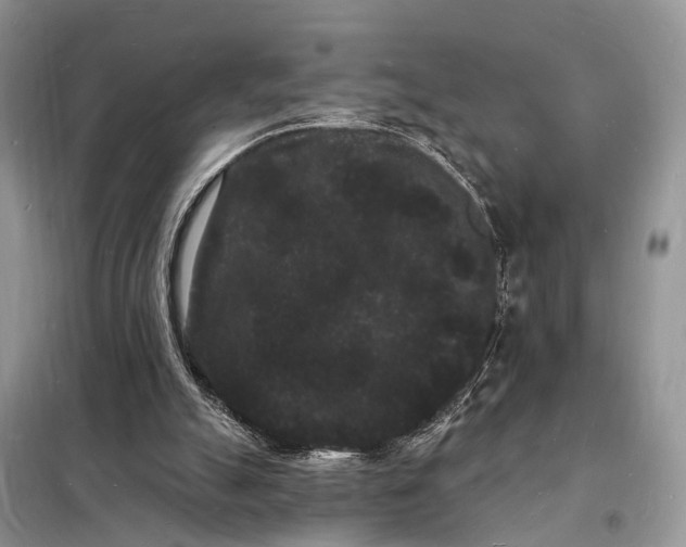 X0000098230055200805081232