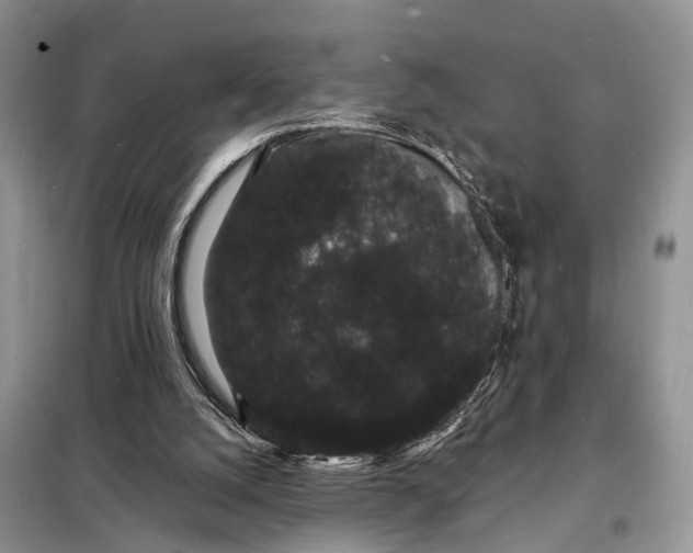 X0000098230056200805081232