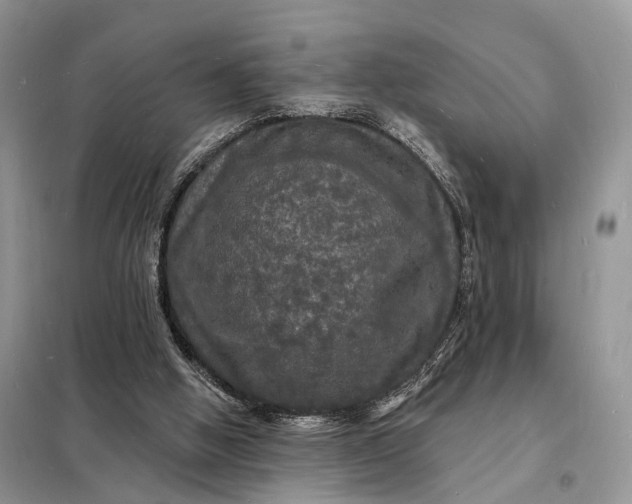 X0000098230058200805081232