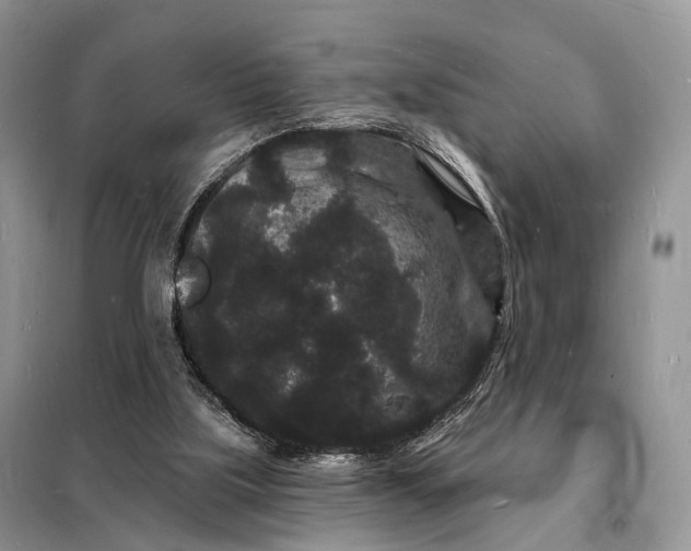 X0000098230059200805081232