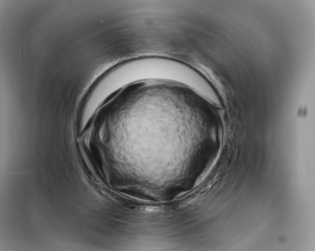 X0000098230060200805081232