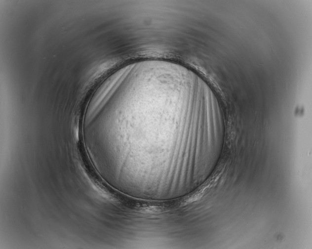 X0000098230062200805081232