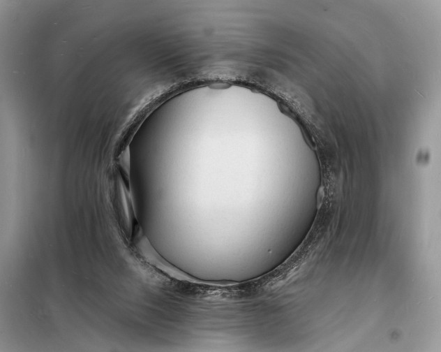 X0000098230064200805081232