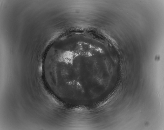 X0000098230067200805081232