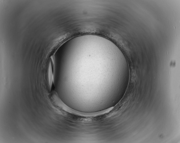 X0000098230068200805081232