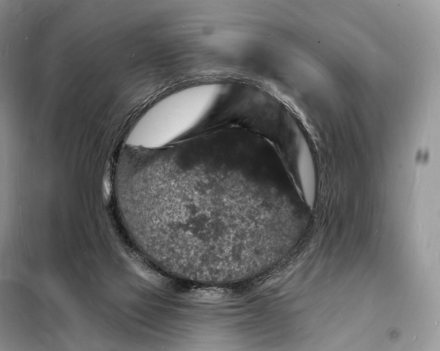 X0000098230069200805081232