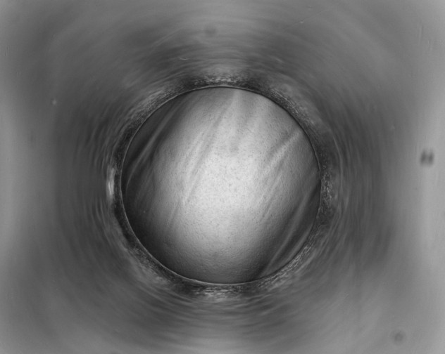 X0000098230070200805081232