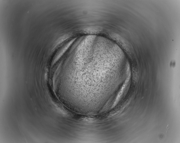 X0000098230071200805081232