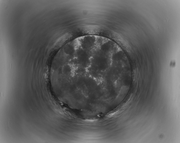 X0000098230073200805081232