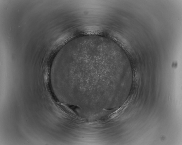 X0000098230074200805081232