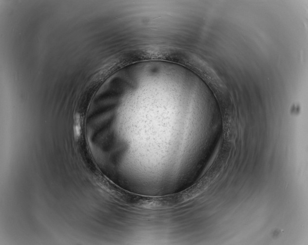 X0000098230075200805081232