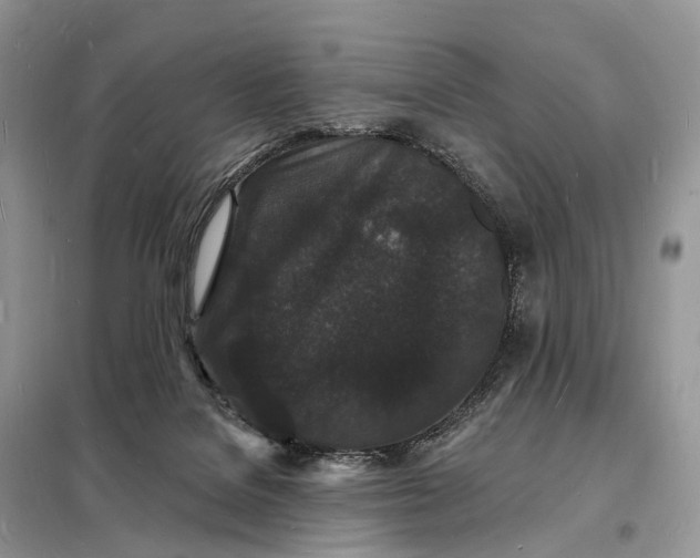 X0000098230076200805081232