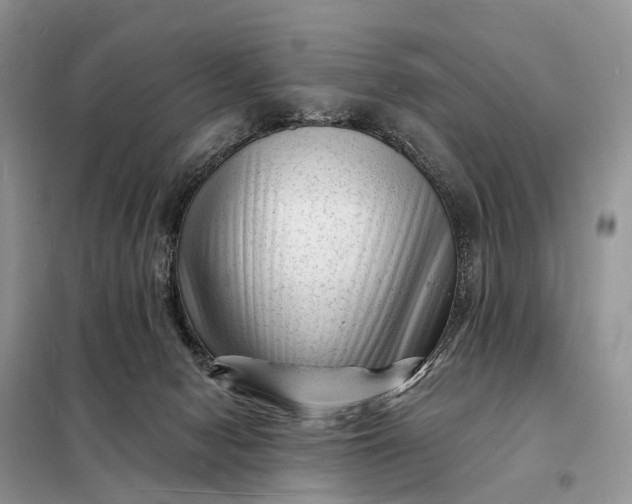 X0000098230078200805081232