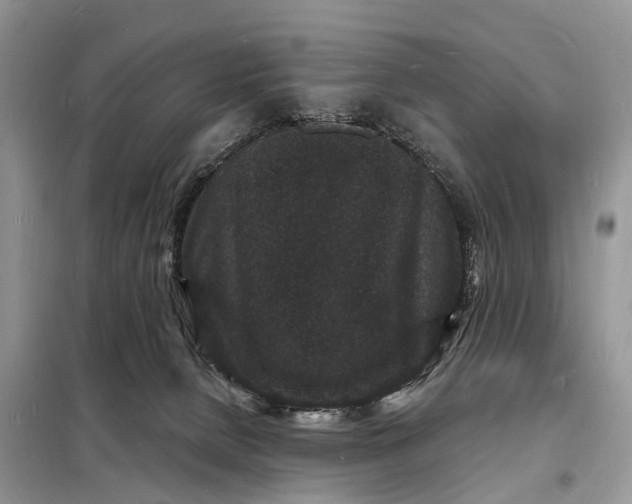 X0000098230080200805081232