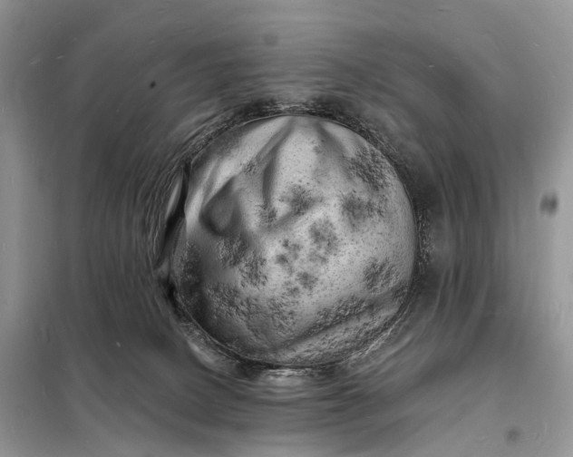 X0000098230082200805081232