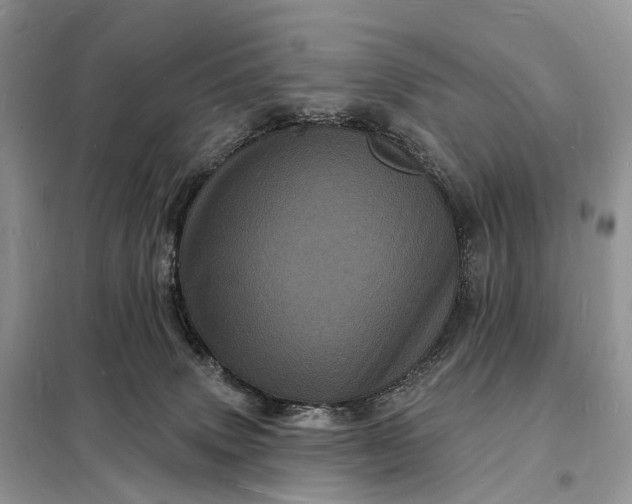 X0000098230083200805081232