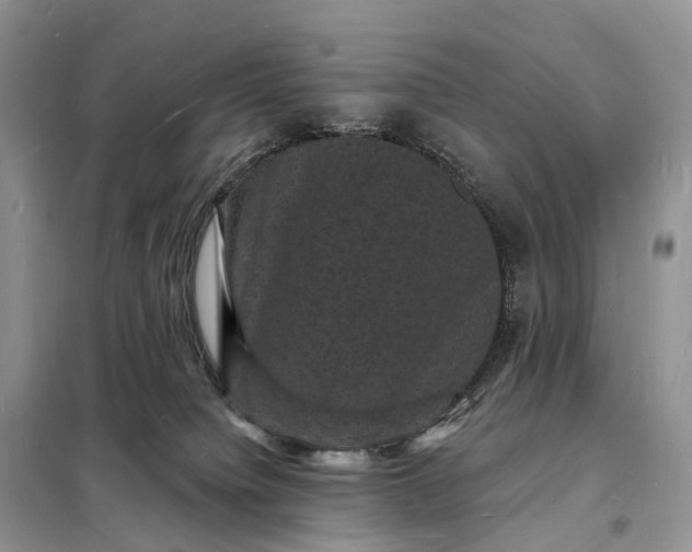 X0000098230084200805081232