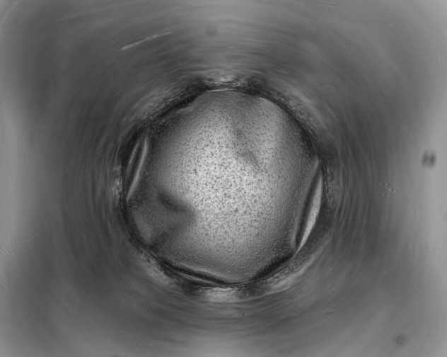 X0000098230085200805081232