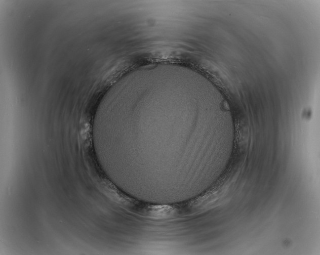 X0000098230087200805081232