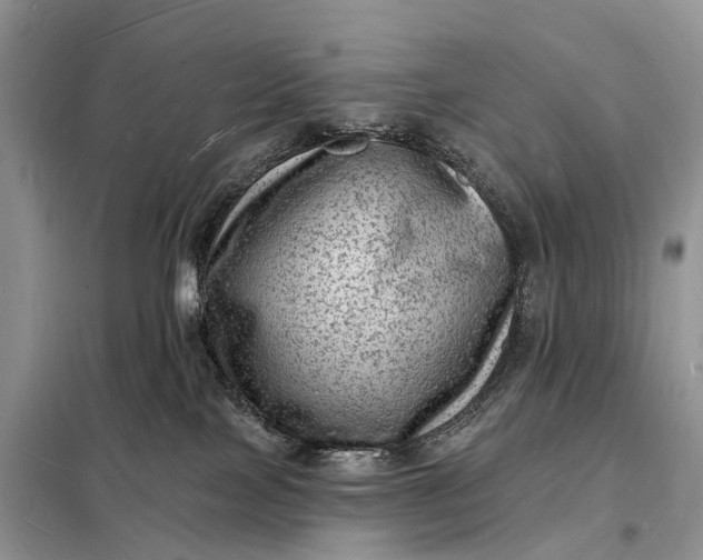 X0000098230089200805081232