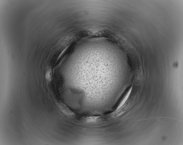 X0000098230090200805081232