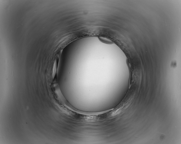 X0000098230092200805081232