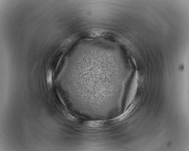 X0000098230094200805081232