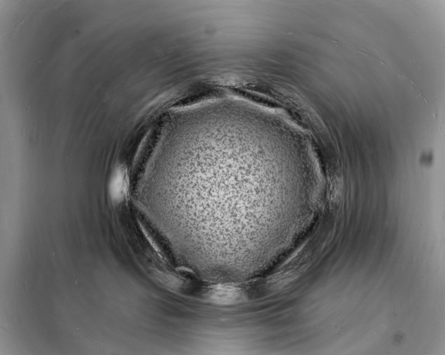 X0000098230095200805081232