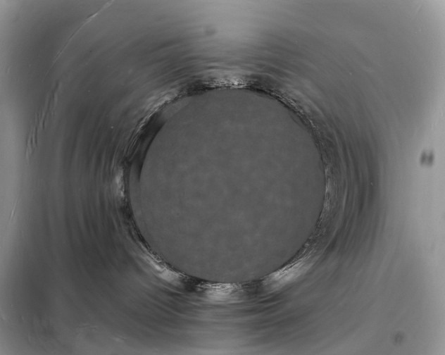 X0000098230096200805081232