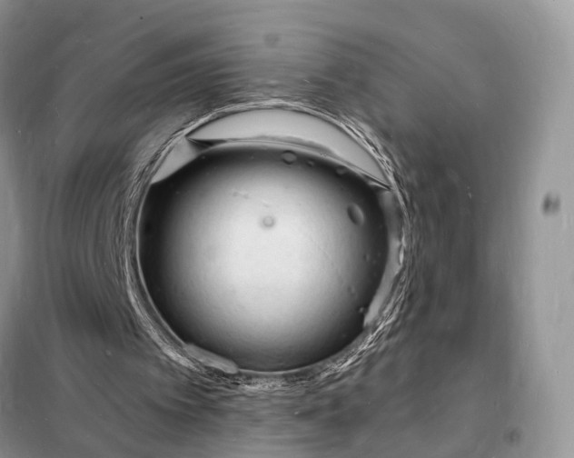 X0000098230097200805081231