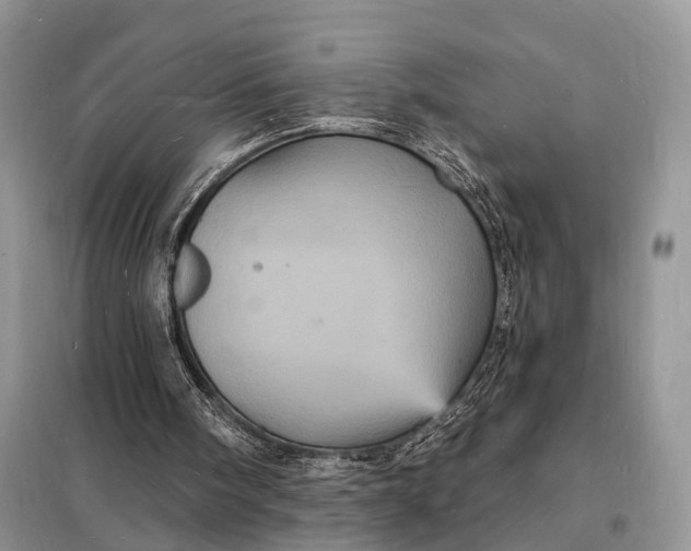 X0000098230098200805081231