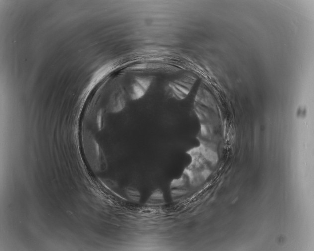 X0000098230099200805081231