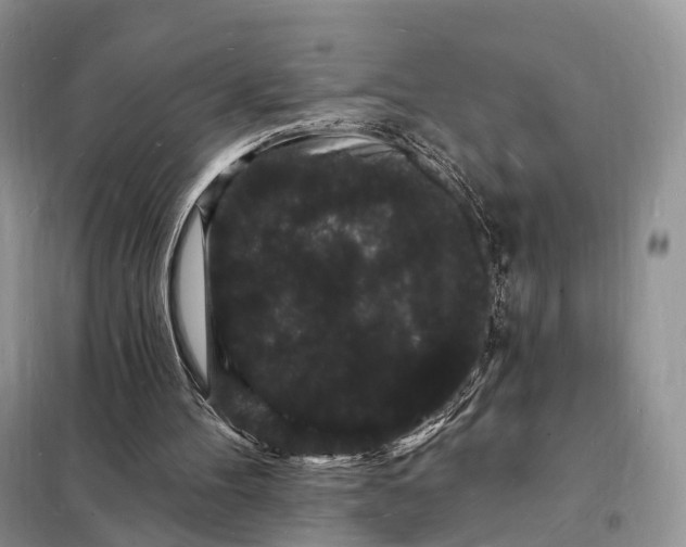 X0000098230100200805081231